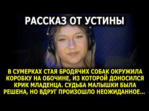 Видео: Читает УСТИНА / В конце истории я прослезилась...