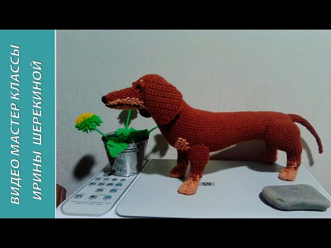 Видео: Как связать собаку Такса! ,ч.1. Dachshund is a hunting dog!, р.1. Amigurumi. Игрушки крючком.