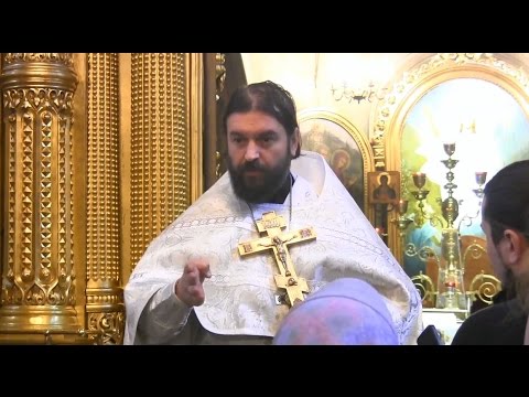 Видео: НЕБЕСНОЕ ВОИНСТВО.Прот.Андрей Ткачёв (21.11.2015г.) Собор Архистратига Михаила