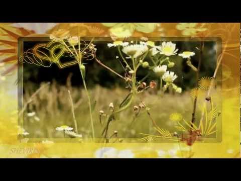 Видео: Елена Гудкова - СОЛНЫШКО