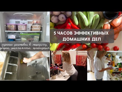 Видео: 5 ЧАСОВ ЭФФЕКТИВНОЙ УБОРКИ, РАСХЛАМЛЕНИЯ, ОРГАНИЗАЦИИ, ГОТОВКИ [ сезонная заморозка заготовок ]