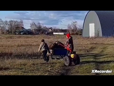 Видео: Мои внучата-моя радость.