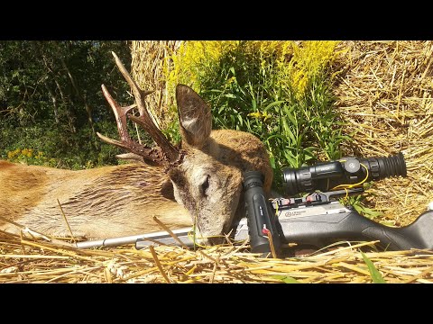 Видео: Охота на трофейного самца косули в ОХ «Белый лось». Arkon Arma HR50L и RedRay Romul 319