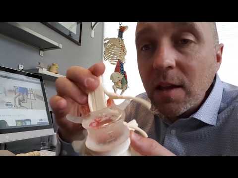 Видео: Преимущества инверсионной терапии - рекомендации мануального терапевта