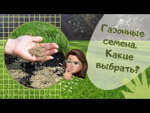 Видео: Газонные семена. Какие выбрать?