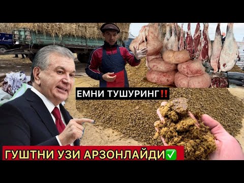 Видео: ЕМ ВА ХАШАК НАРХЛАРИ УЗГАРДИ: Кунжара, шрот, кепак, шелуха | ТУРТКУЛЬ ЭЛЛИККАЛЬА БЕРУНИЙ ХОРАЗМ 2024