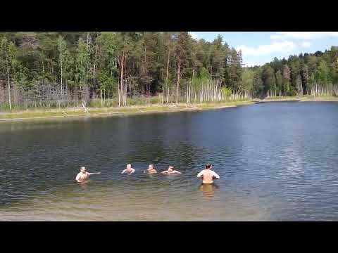Видео: Аркуль, Медведцкий бор, озеро Чваниха