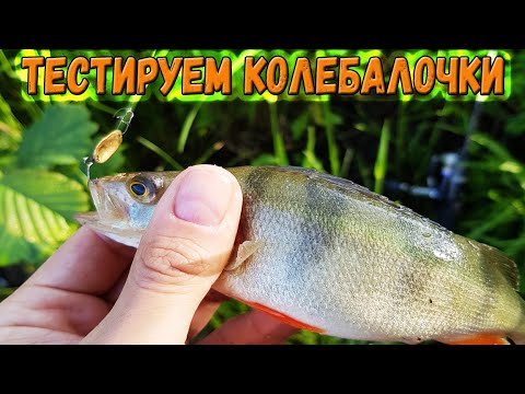 Видео: Тестируем на окуне самодельные XUL колебалки - приманки на ультралайт спиннинг.