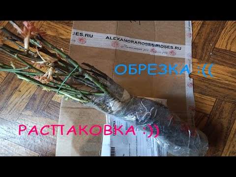Видео: Обрезка :((.  Распаковка :))