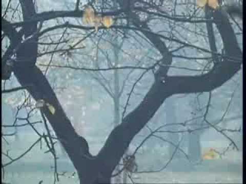 Видео: Надежда Павлова - Джульетта в Пермском театре оперы и балета (репетиции и сцены)