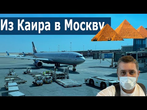 Видео: Обзор полета на A330-300 из Каира в Москву. Аэрофлот. Flight from Cairo to Moscow on Aeroflot