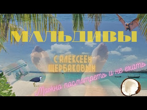 Видео: [4К] 🌴МАЛЬДИВЫ🌴 с Алексеем Щербаковым! (Красивая жизнь, как у потаскух в инстаграме!)