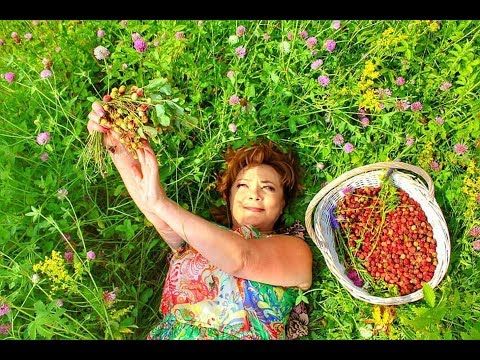 Видео: Зифа Нагаева -  Алан җиләге