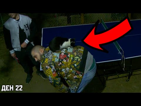 Видео: УНИЩОЖИХ КОТКАТА НА ТЕНИС НА МАСА! | SUBATHON ДЕН 22