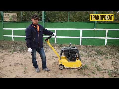 Видео: Инструкция: бензиновые виброплиты Wacker Neuson BPU 3750, 3050