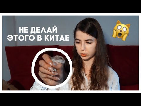 Видео: 5 ВЕЩЕЙ, КОТОРЫЕ НЕ НУЖНО ДЕЛАТЬ В КИТАЕ + ЭТИКЕТ ЗА СТОЛОМ