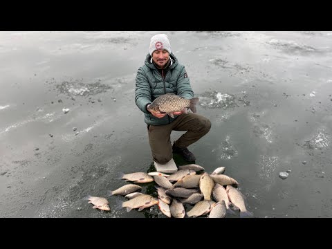 Видео: Огромные караси утаскиваю в лунку