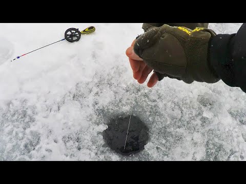 Видео: Решил поймать рыбу На озере у дороги И ВОТ ЧТО ИЗ ЭТОГО вышло! Первый лёд 2021