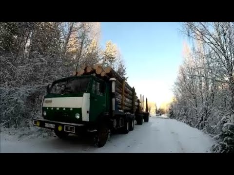 Видео: 08.12.2023. Ещё один рейс  Холодает
