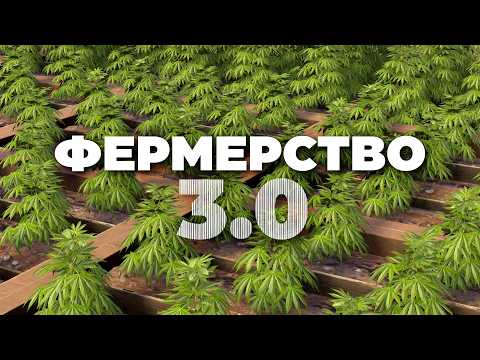 Видео: ПОЛНЫЙ гайд по ФЕРМЕРСТВУ 3.0 - Генетика, Пчелы, Куры [Rust/Раст]