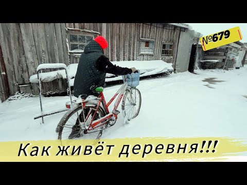 Видео: Как мы в деревне пережили первый снег и морозы. Быки и Поросята на улице. Жизнь в Омской деревне