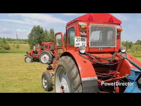 Видео: Сенокос 2025