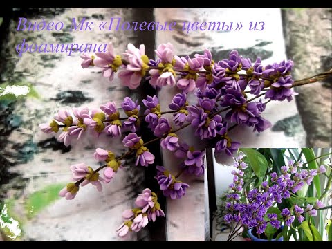 Видео: Полевые цветы из фоамирана Wildflowers from foamiran