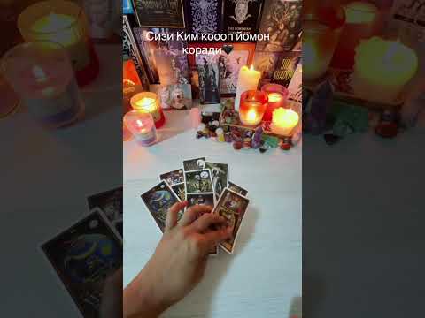 Видео: Сизи Ким коооп йомон коради шуни корамиз🔥#карта #таро 