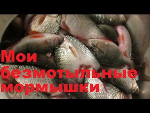 Видео: Мои безмотыльные мормышки