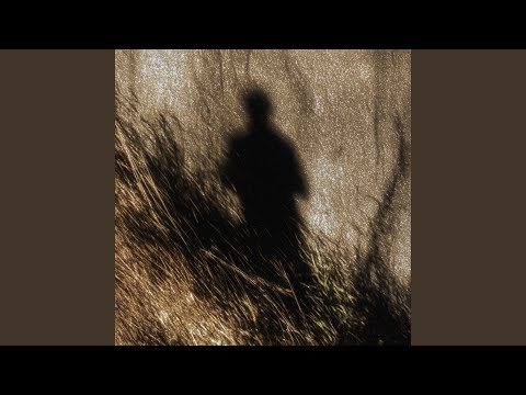 Видео: Недешевая печаль