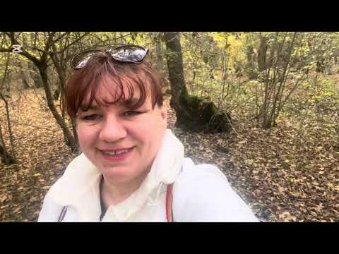 Видео: УРА! У НАС ПОШЛИ ОПЯТА!!!🍄‍🟫🍄‍🟫🍄‍🟫