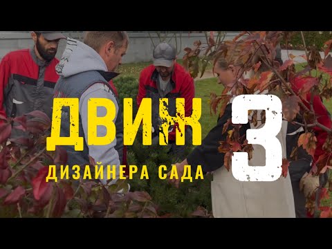 Видео: Ландшафтный движ (3 часть). Посадка крупномерных растений #озеленение #сад