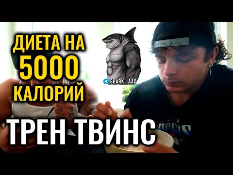 Видео: МАССАНАБОРНЫЙ РАЦИОН НА 5000 КАЛОРИЙ | ТРЕН ТВИНС НА РУССКОМ