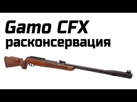 Видео: Расконсервация Gamo CFX