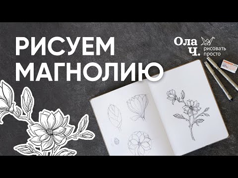 Видео: Как нарисовать цветок, магнолия - Уроки рисования для начинающих
