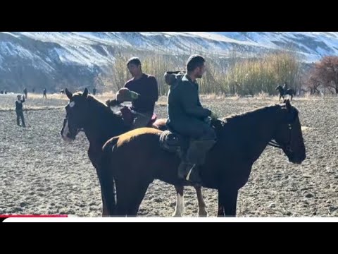 Видео: Бузкаши ноҳияи Мастчоҳ деҳаи Лангар