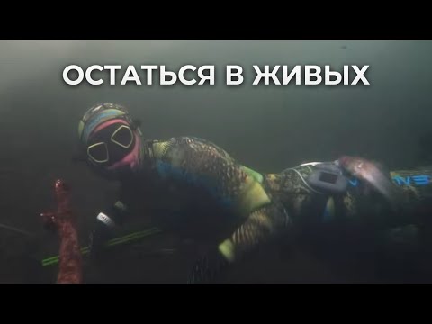 Видео: ЭТИ ОШИБКИ МОГУТ СТОИТЬ ЖИЗНИ! Техника безопасности на подводной охоте — Часть 1