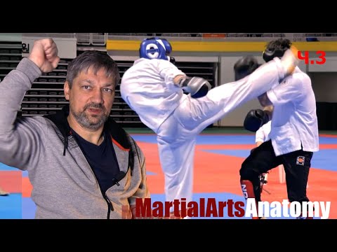 Видео: [Разбор полетов] 3) Теккён vs Джиткундо