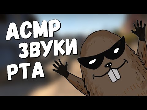 Видео: АСМР КС 2 НАПАРНИКИ ЗВУКИ РТА