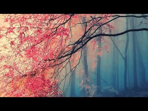 Видео: КТО НЕСЁТ НЕГАТИВ В ВАШУ СТОРОНУ⁉️