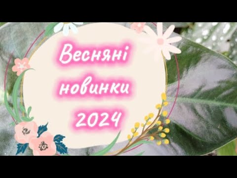 Видео: ВЕСНЯНІ НОВИНКИ 2024 🌺🌸💚