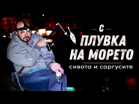 Видео: Сивота и саргусите / Как да напълим живарника на пристанището?