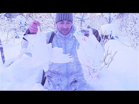 Видео: ОХОТА НА БЕЛУЮ КУРОПАТКУ В ГЛУХОЗИМЬЕ / ИНТЕРЕСНЫЙ СЛУЧАЙ В ОХОТЕ ПО БОРОВОЙ ПТИЦЕ / ПОРВАЛО ГИЛЬЗУ.