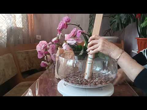 Видео: УРА!!! Я сделала это!!! Не пропустите!!!! Это ооочень интересно!!!