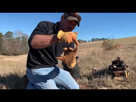 Видео: Плоские наборы для койотов