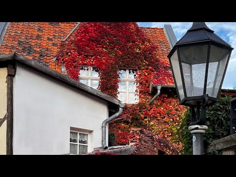 Видео: Самый сказочный маршрут Германии. Фахверковый Кведлинбург. Средневековый Вернигероде. Чертовы зубы.