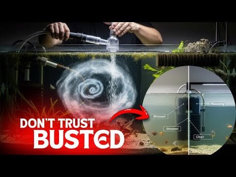 Видео: 10 мифов об аквариумах развенчаны | посмотрите сами!