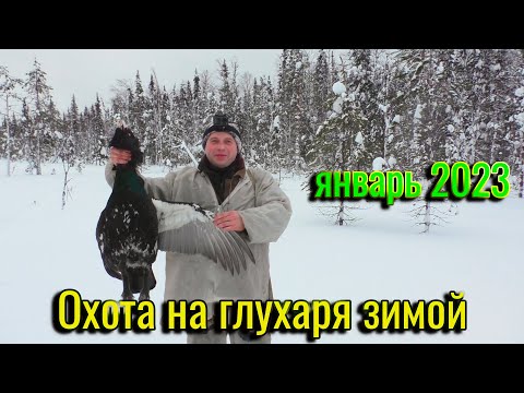 Видео: Охота на Глухаря Зимой. Глухарь с Лунки. И снова досадный промах!