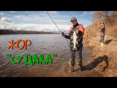 Видео: ПОПАЛИ на клев "СУДАКА" | Отличная рыбалка - Рыбалка со stigan'ом