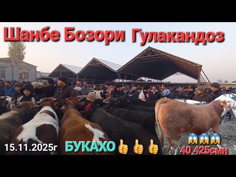 Видео: Шанбе Бозори Гулакандоз имруза нарху навои Букачахои нигохбори ва моли оча бача  дар бозор